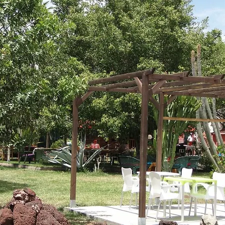 Artemisa * Playa del Inglés