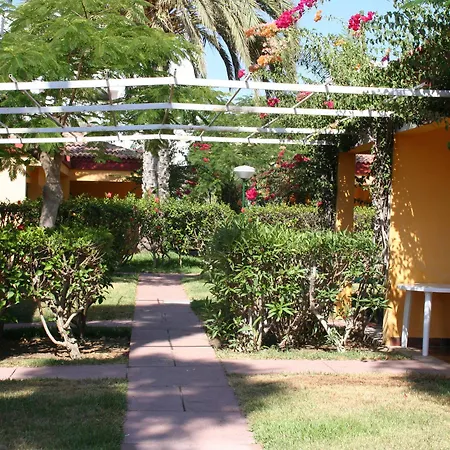 Artemisa * Playa del Inglés