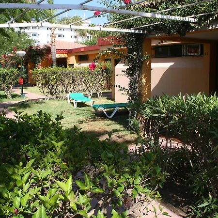 Artemisa * 플라야 델 잉글스