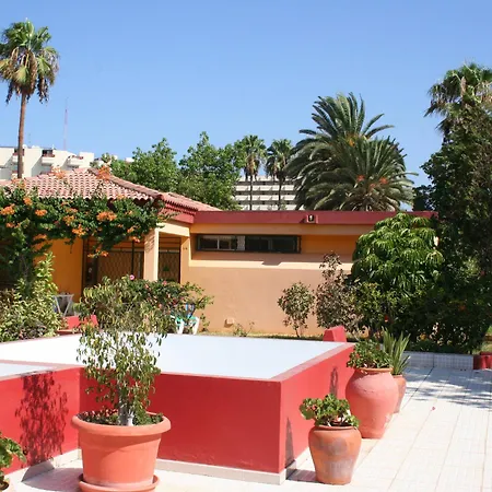 Artemisa Playa del Inglés