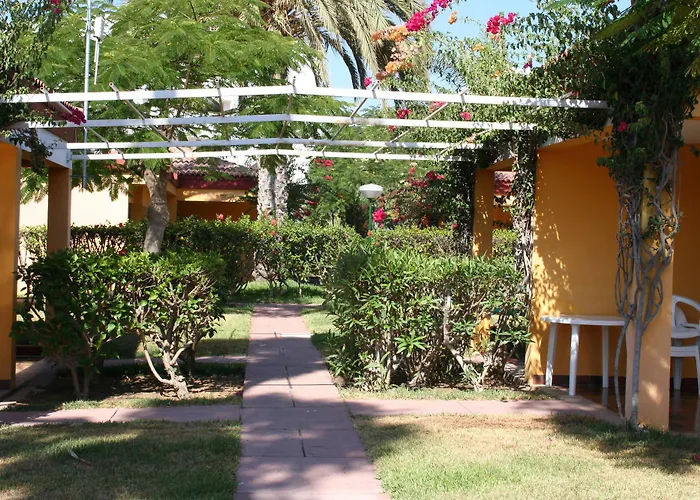 Artemisa * Плайя-дель-Инглес