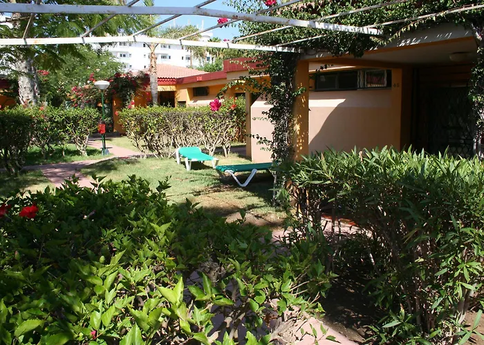 Artemisa * Playa del Inglés