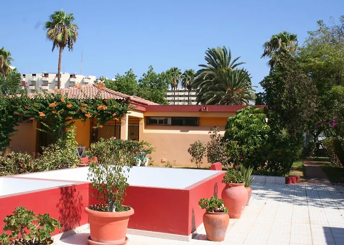 Artemisa Playa del Inglés